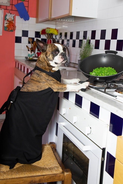 Can Dogs Eat Peas 2