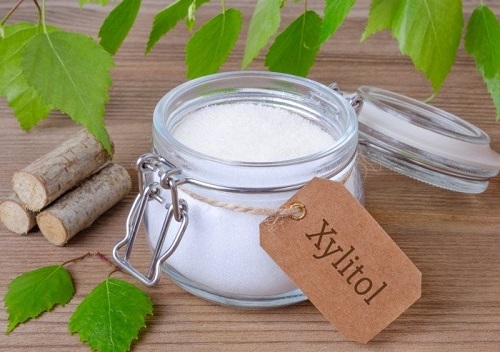 Can Dogs Have Xylitol Poisoning