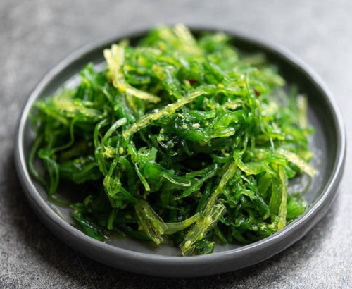 Can Dogs Eat Seaweed | Potential Health Benefits and Concerns 2